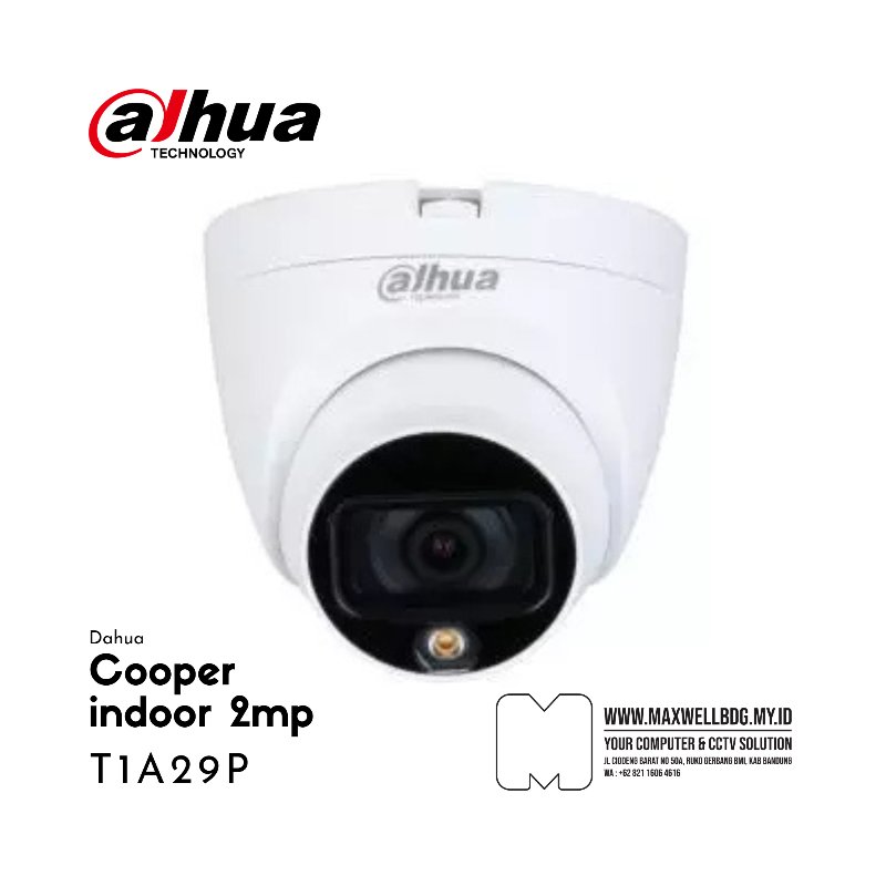 DAHUA T1A29P